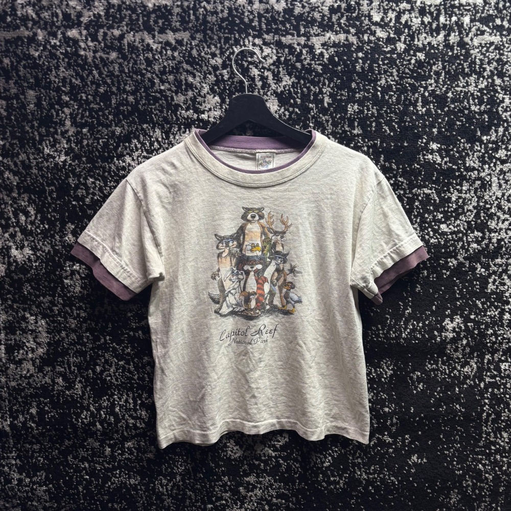Vintage Alore Capitol Reef National Park Ringer T-Shirt Grey Purple USA